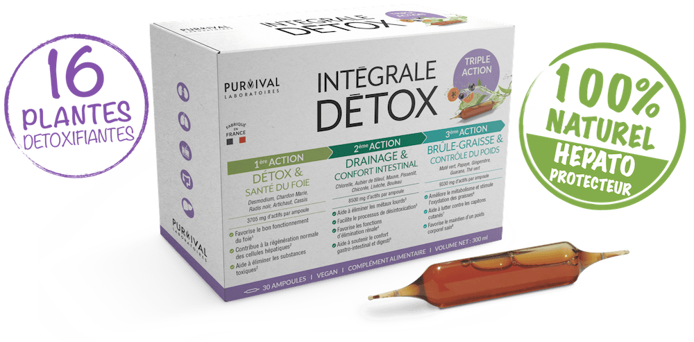 Integrale Detox